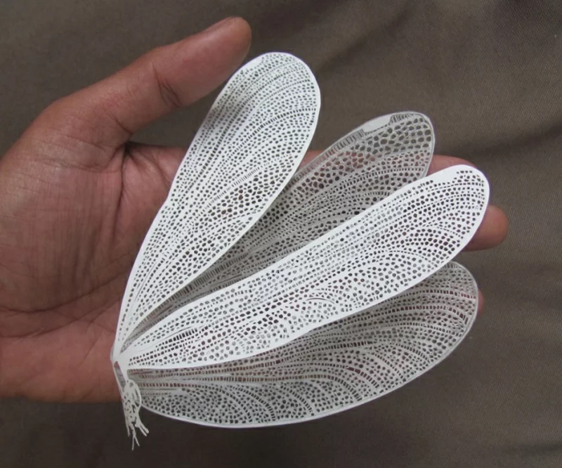 Parth Kothekar Kunstwerke aus Papier Schmetterling