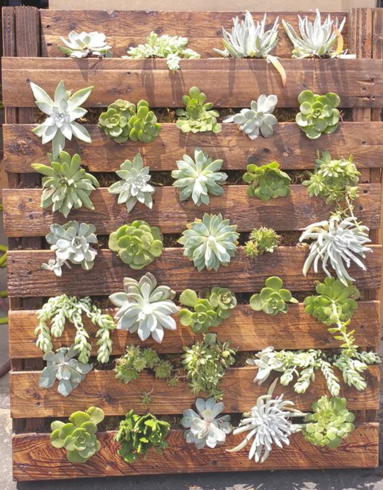 Vertikaler Garten Anleitung Gartenmöbel aus Paletten Sukkulenten einpflanzen