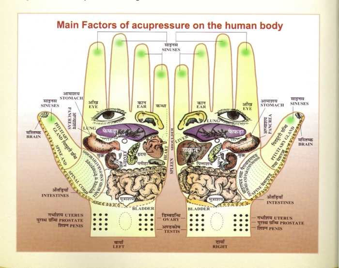 lebe gesund gesund leben heilpraxis massage akupressur zonen hand zonen