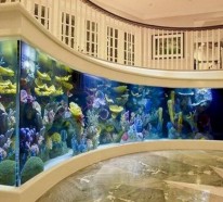 Warum sollte man  das Interieur mit Aquarium einrichten?