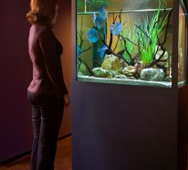 Warum sollte man  das Interieur mit Aquarium einrichten?