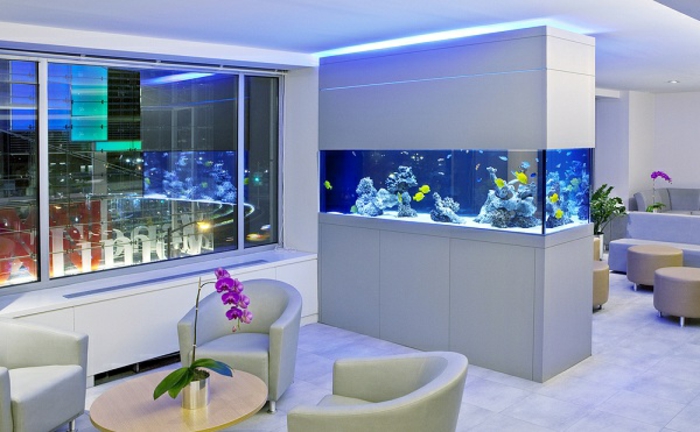 aquarium eirichten design atmosphäre einrichtungsbeispiele wandgestaltung mittig