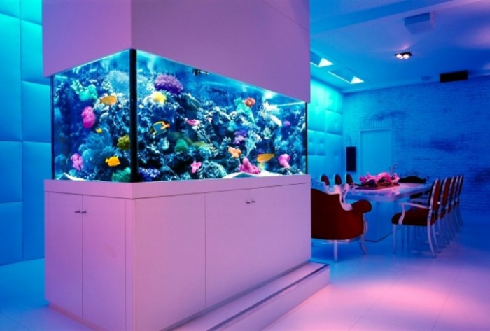 aquarium eirichten design atmosphäre einrichtungsbeispiele wandgestaltung weißes violett