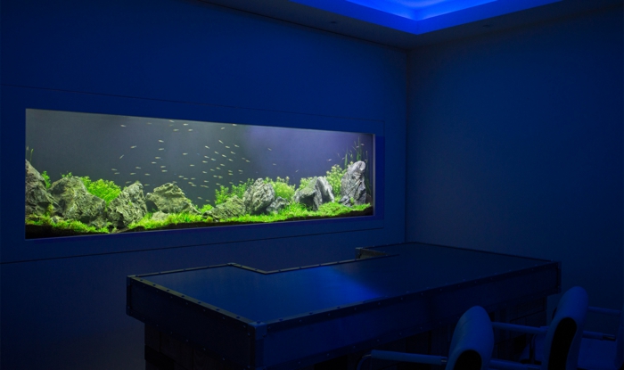 aquarium eirichten design atmosphäre einrichtungsbeispiele wandgestaltung wohnzimmer