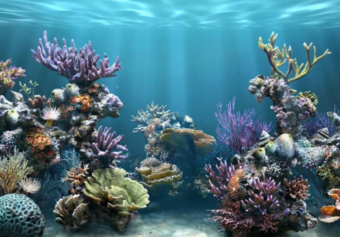 aquarium eirichten design atmosphäre einrichtungsbeispiele wandgestaltung