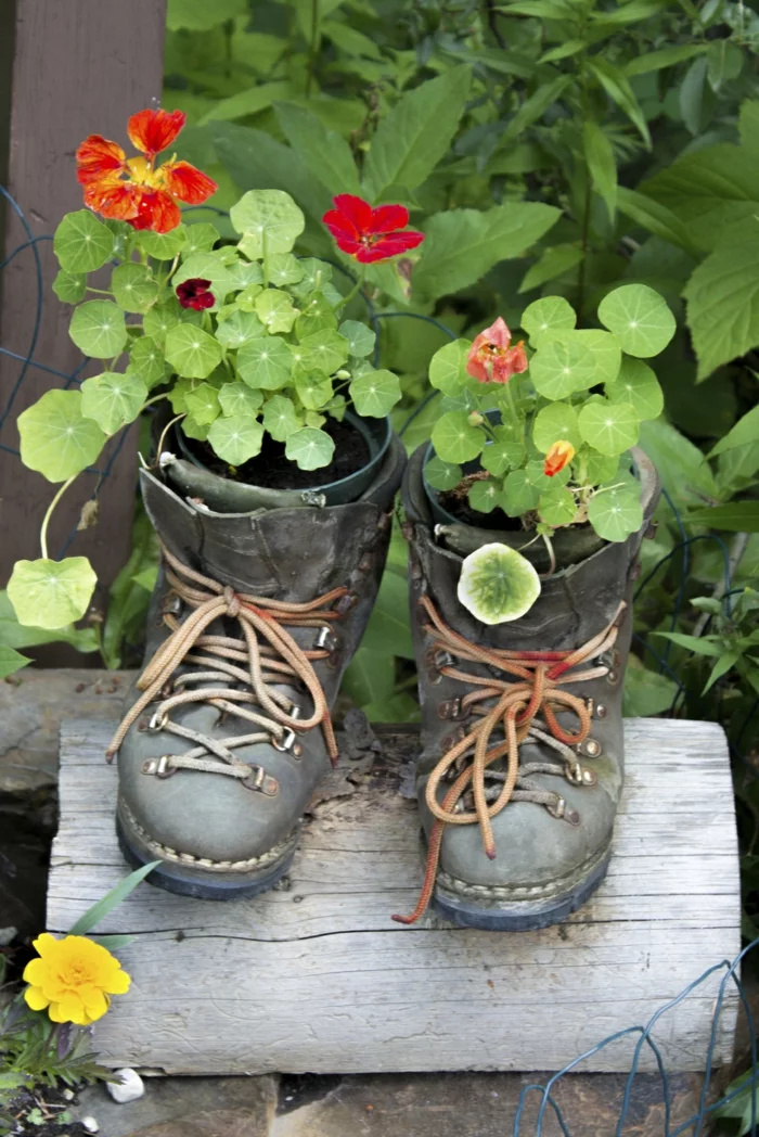 DIY Deko Ideen - Blumentöpfe in Schuhe