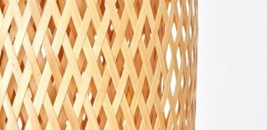 Bambus im Kübel - wann und wie macht das eigentlich Sinn?