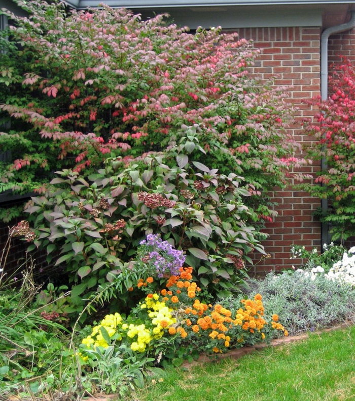 Gartengestaltung Tipps, wie Sie Licht und Schatten im Garten verteilen