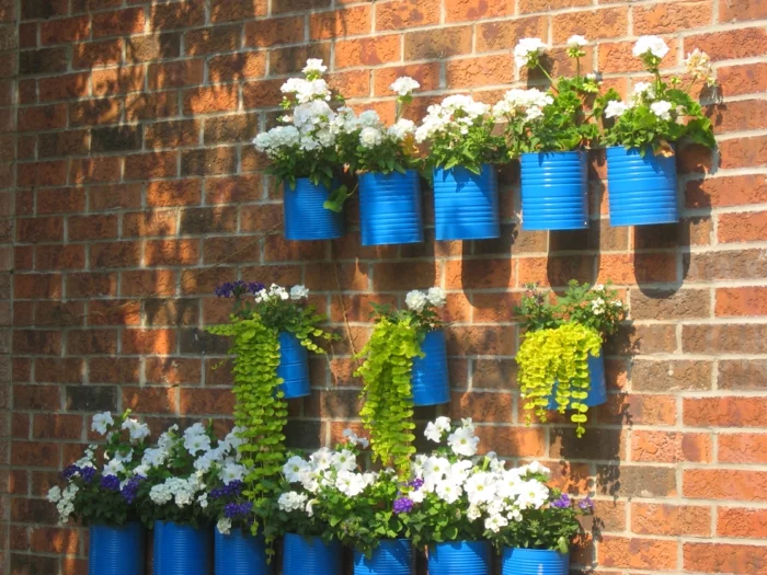 blaue Dosen mit Pflanzen an der Hausfassade befestigt