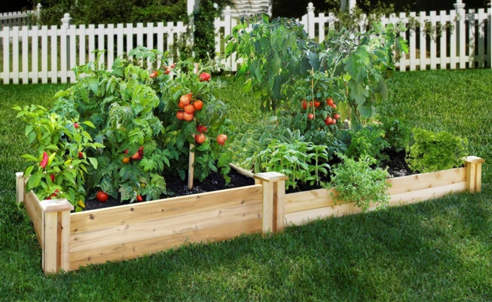 hochbeet bauen beflanzen gartenideen diy ideen holz vorgarten weg blumenbeet tomaten