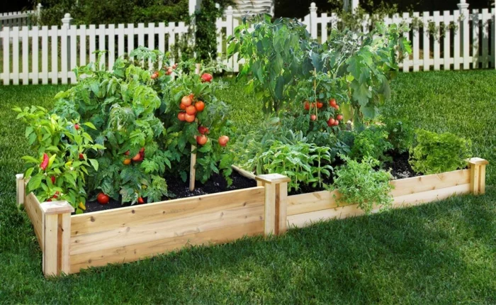 hochbeet anlegen beflanzen gartenideen diy ideen  blumenbeet tomaten