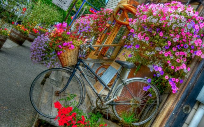 kreative gartenideen für kleine gärten fahrrad bunt