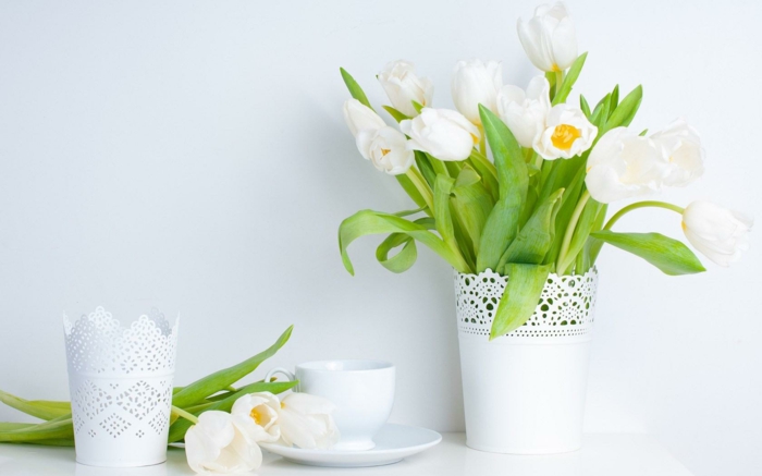 lebe gesund weiße tulpen weiß wirkung organismus phytotherapie