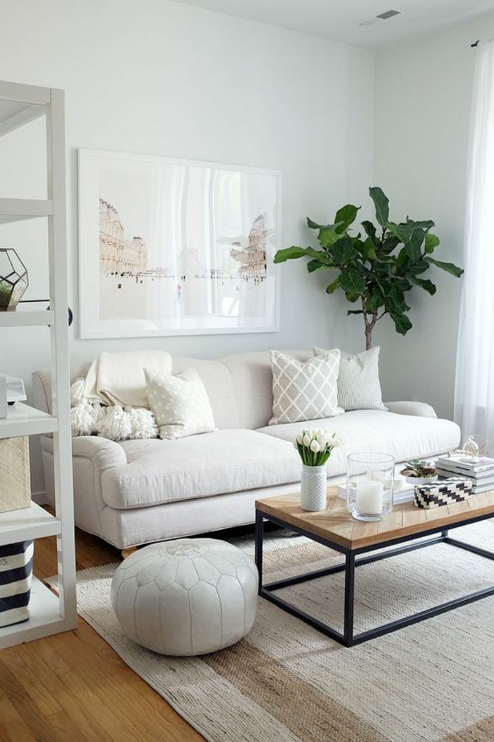 sofa weiß wohnzimmer pflanzen regale