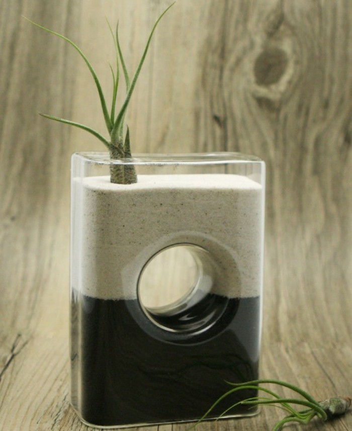 Deko Vasen kreative Dekoartikel Glasvase mit Sand für Sukkulenten