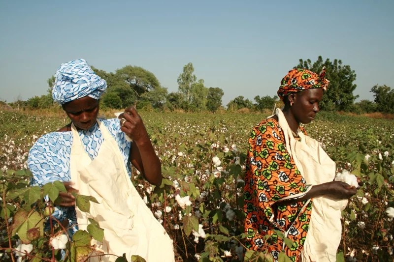 Fair Trade Kleidung Bio Baumwolle nachhaltige Mode