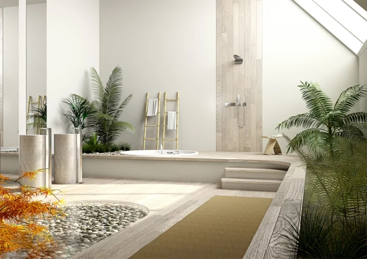 Feng Shui Badezimmer Kies Zimmerpflanzen
