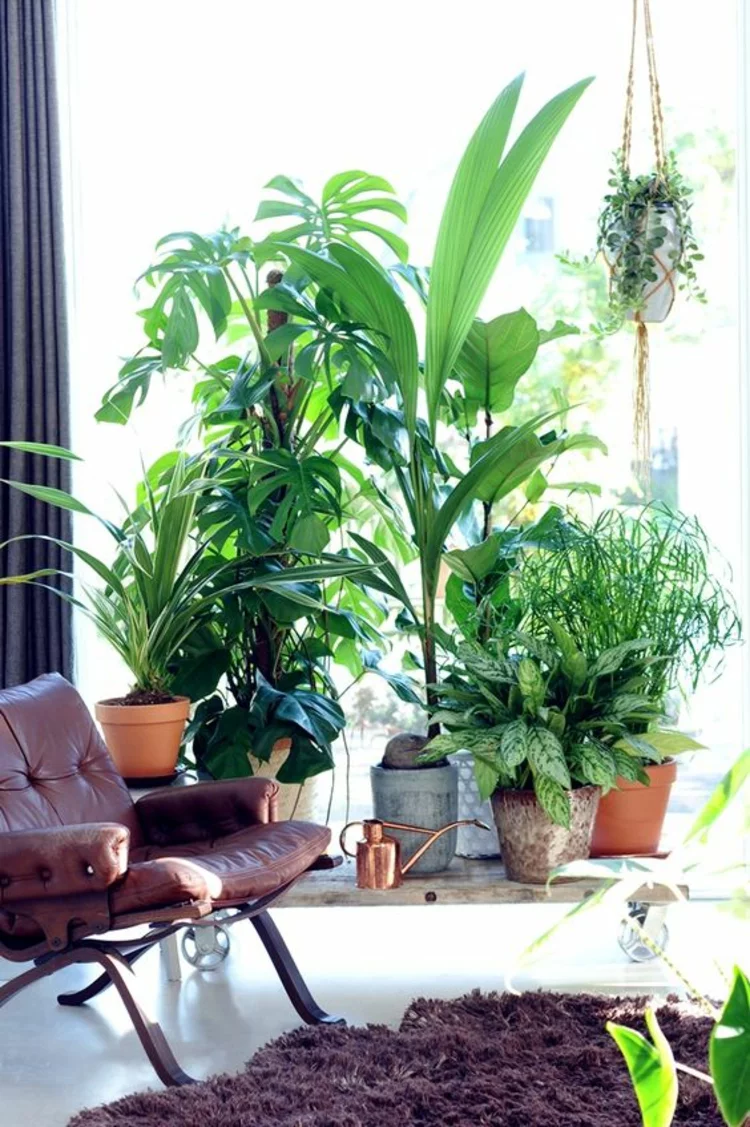 Feng Shui Bilder Zimmerpflanzen Terrassengestaltung positive Energie