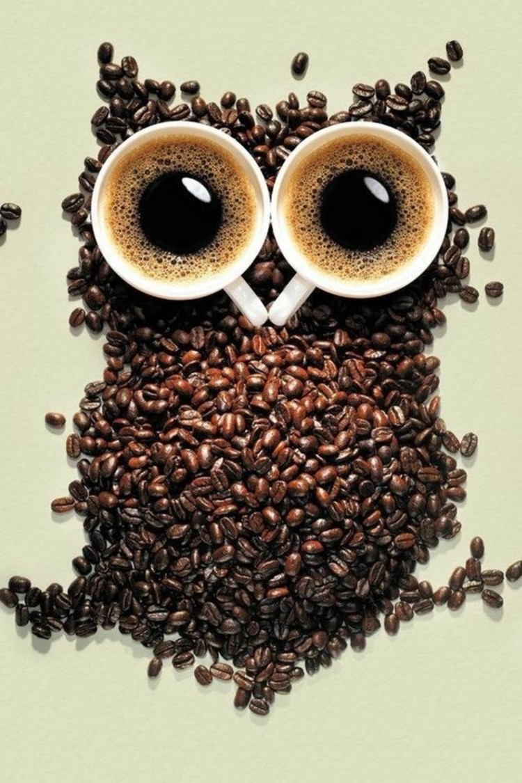 Kaffeesorten Kaffeegetränke Kaffee Wirkung Eule Kaffeebohnen