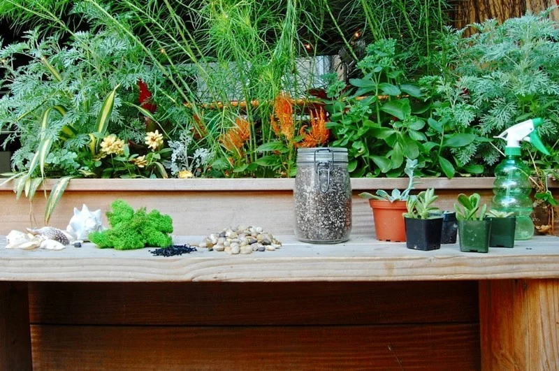 Sukkulenten Deko Ideen zum Selbermachen Materialien Garten