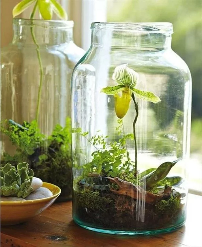DIY Deko - Terrarium aus Einmachglas mit Blume