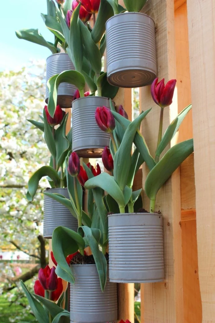 kreative gardenideen dosen rote tulpen gartendeko