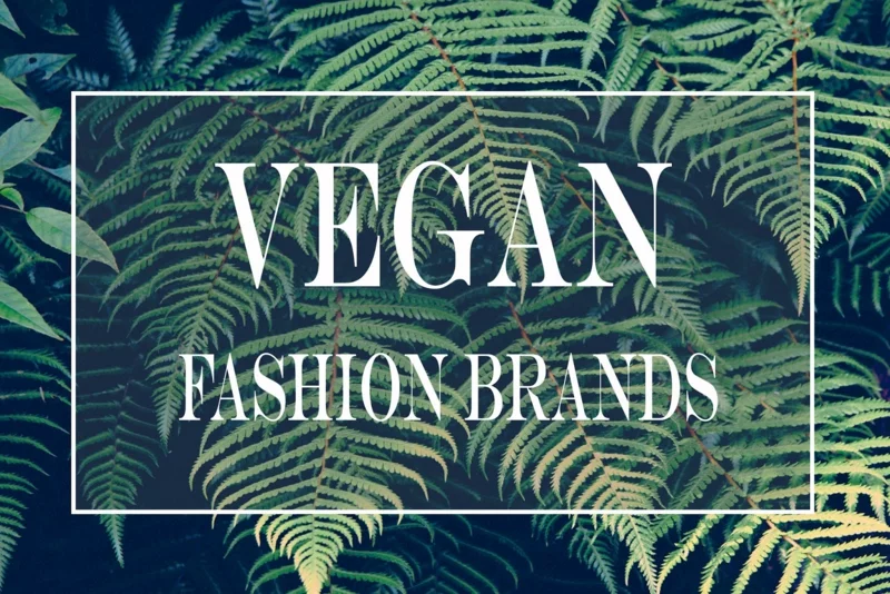 vegane mode brands nachhaltige trends