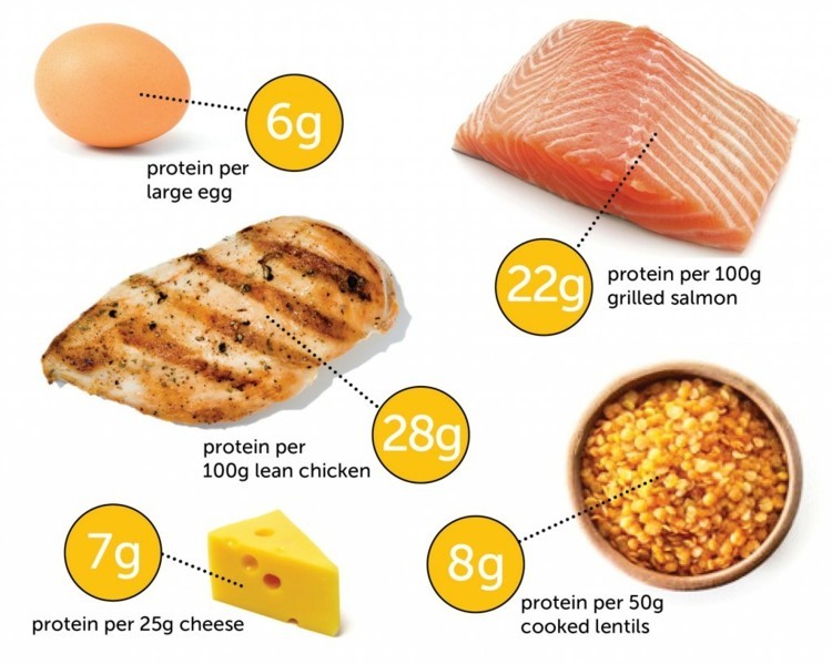 How Much Is 200 Grams Of Protein