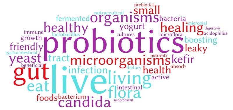 Probiotik kaufen und einnehmen wann und warum