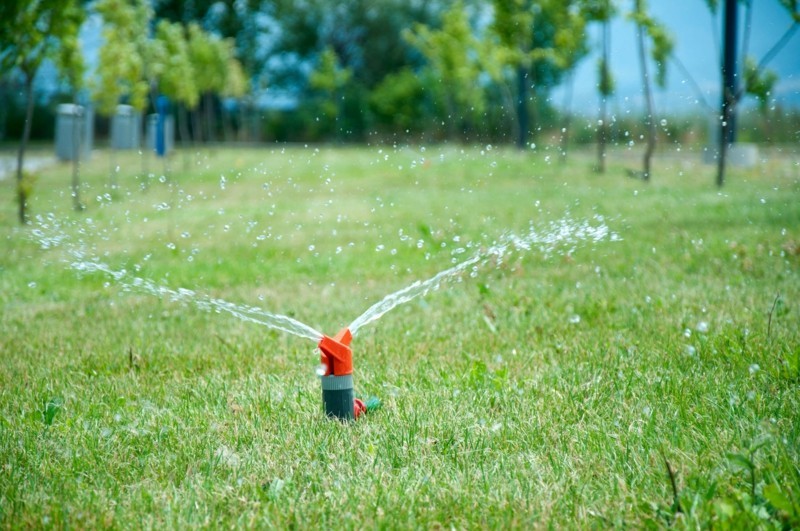 Rasenpflege Vorgartengestaltung Ideen Rasen düngen und bewässern