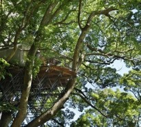 Baumhaus bauen – das Atami Teehaus im japanischen Wald