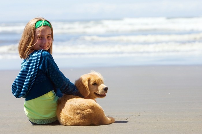 haustiere kaufen hunderassen sommer kinder strand urlaub
