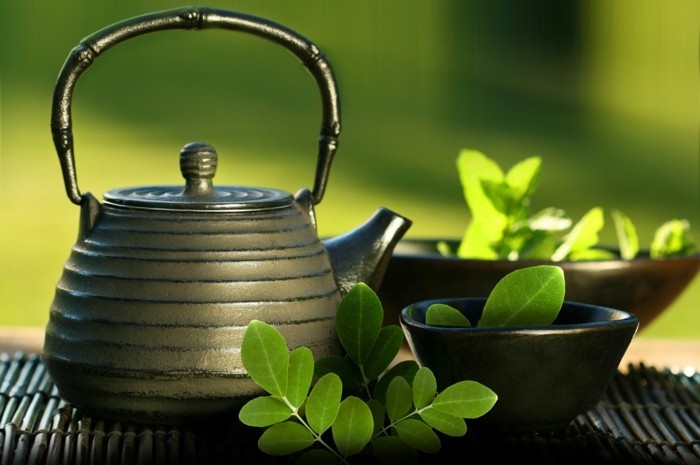 moringa blätter tee trinken gesund