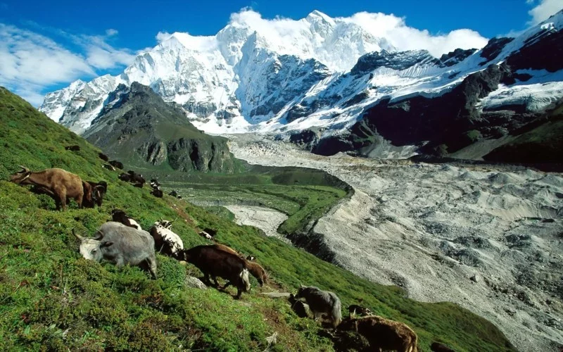 nach Tibet reisen Natur Tiere Naturbilder