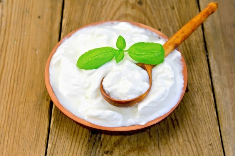 natürliche Probiotik Produkte Joghurt