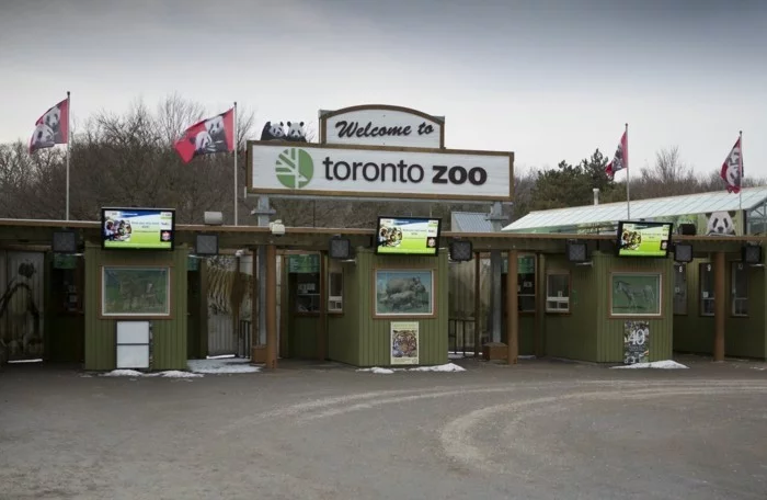 weltreise planen toronto kanada zoo