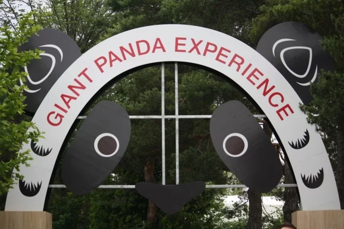 weltreise planen toronto zoo kanada panda