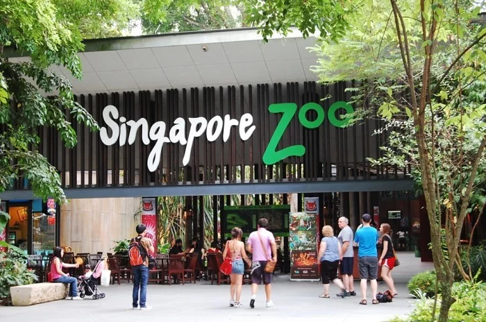 weltreise planen zoo singapur asienreisen