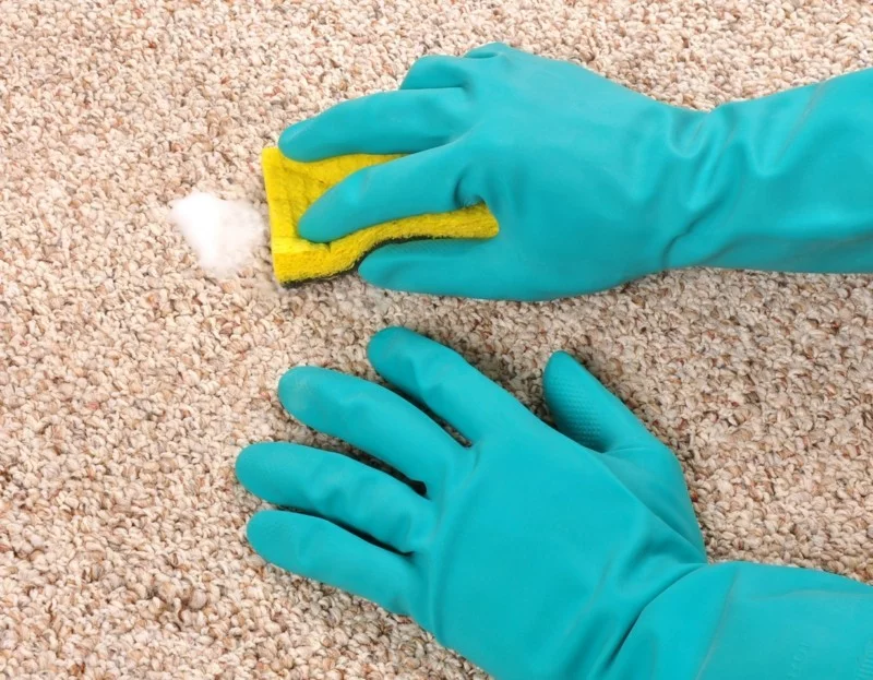 Teppich selber reinigen Haushaltsmittel Tipps und Tricks