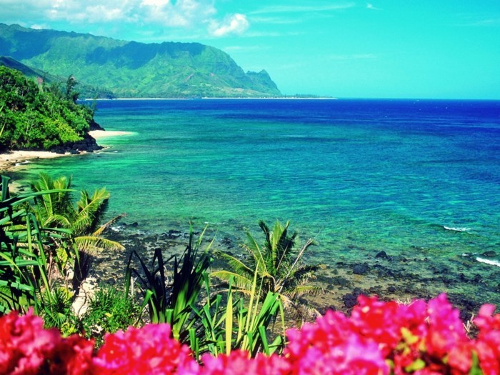 flitterwochen hawaii reisen urlaubsziel