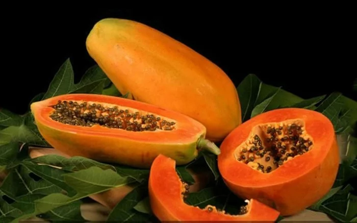 papaya lebe gesunд fruhstucksideen gesund abnehemn gesundes obst studio