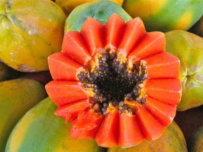 papaya lebe gesund fruhstucksideen gesund abnehemn gesundes obst6