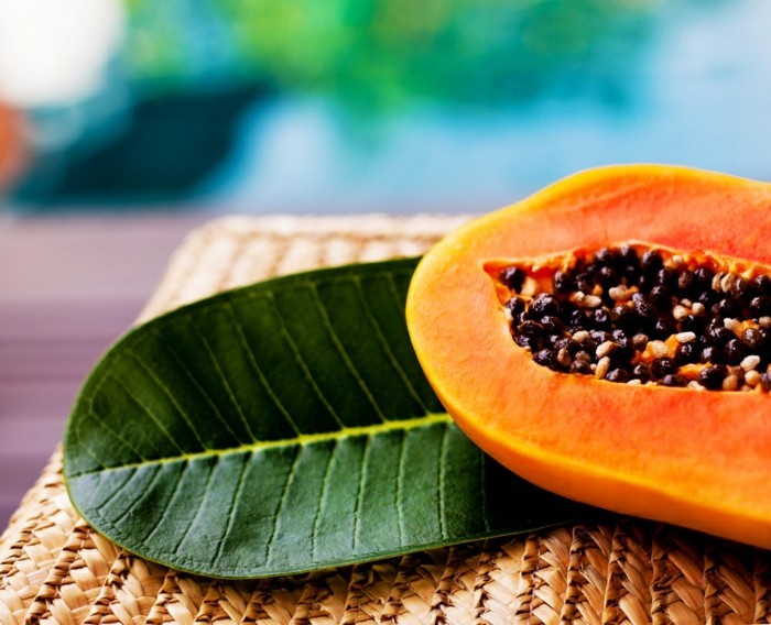papaya lebe gesund fruhstucksideen gesund abnehemn gesundes obst9