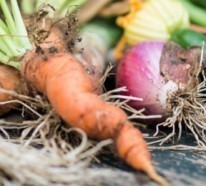 Warum es sich lohnt ein Teil der Slow Food Bewegung zu sein