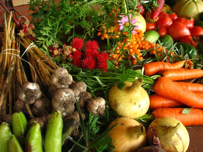 bwegung lebe gesund gesundes obs nachhaltig einkaufen lokal food