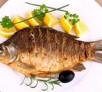 Vor- und Nachteile der Fisch-Diät
