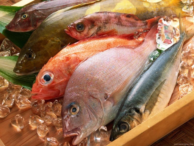 fisch diät verschiedene sorten gesunde ernahrung