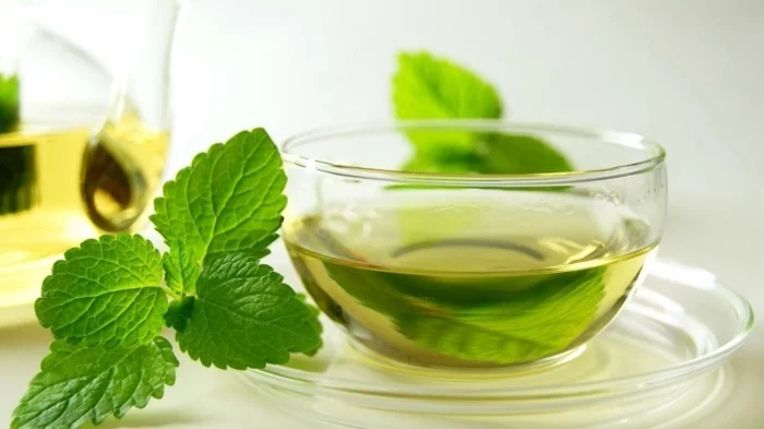 gesunder tee gesundheit lifestyle grünen tee trinken abnehmen