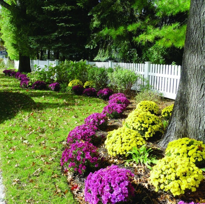 Wie gestalte ich meinen Garten im Herbst 30 schöne