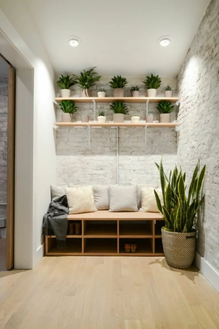 Eingangsbereich mit Zimmerpflanzen gestalten 